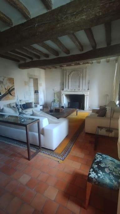 Domaine Du Prieure Saint Ellier Villa Charcé-Saint-Ellier-sur-Aubance Eksteriør bilde